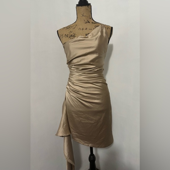 BABYBOO Avery Mini Dress Champagne Size XS - Picture 2 of 12